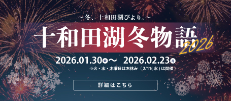 十和田湖冬物語